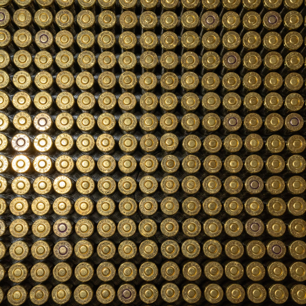 Milwaukee PACKOUT – Ammo Storage for Large Packout