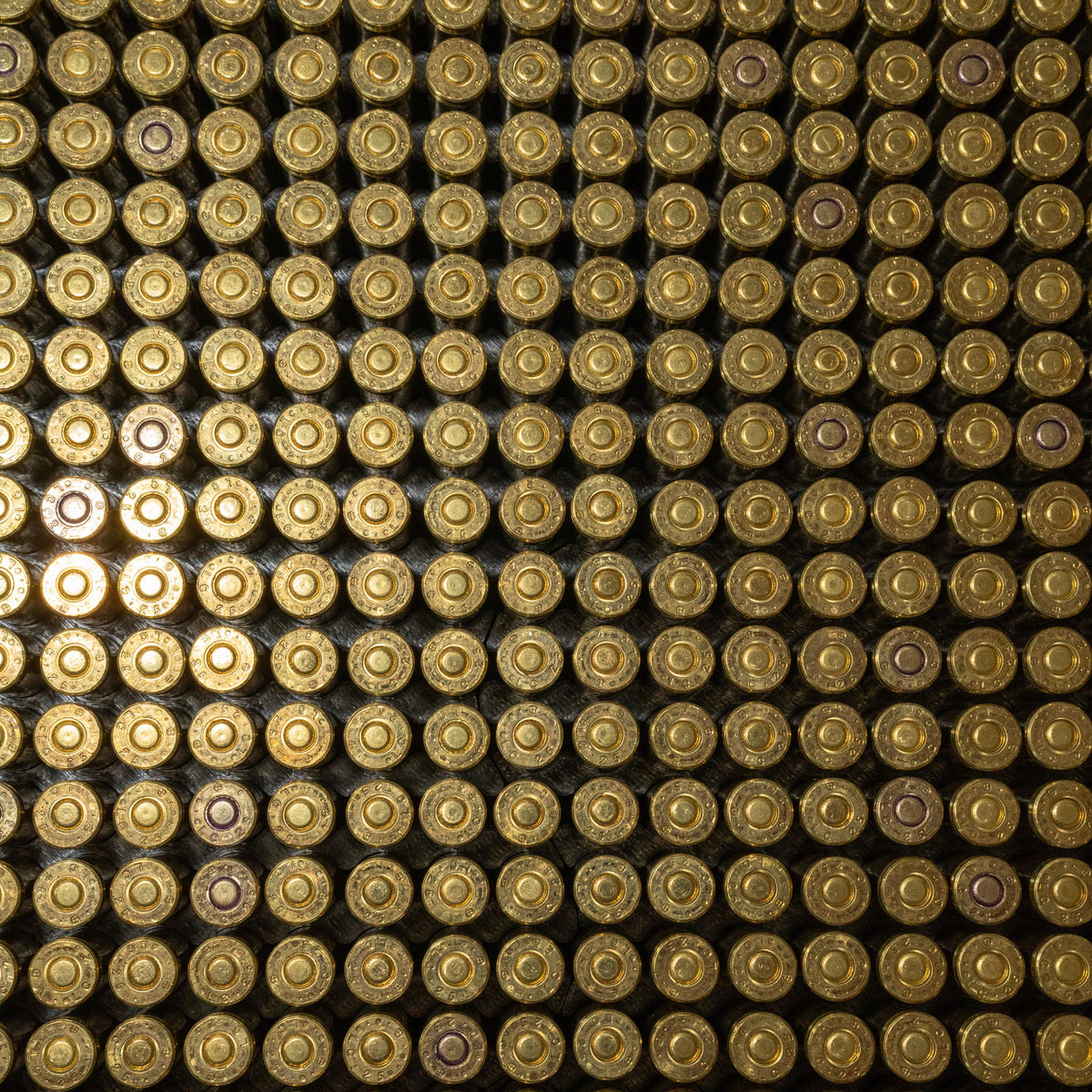 Milwaukee PACKOUT – Ammo Storage for Large Packout